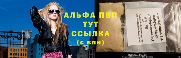 спиды Верея