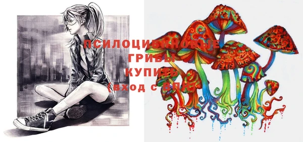спиды Верея