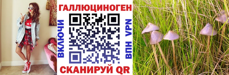 Купить где  Кириллов  Галлюциногенные грибы ЛСД 